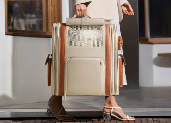 Jak wybrać plecak dla kota w 2026 roku?