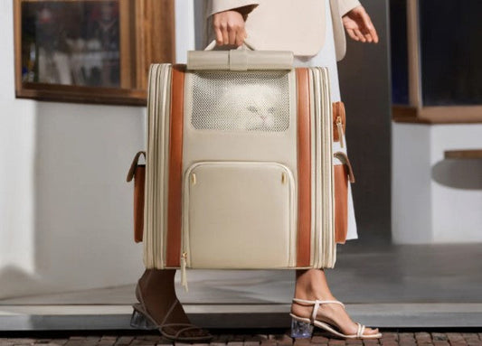 Jak wybrać plecak dla kota w 2026 roku?