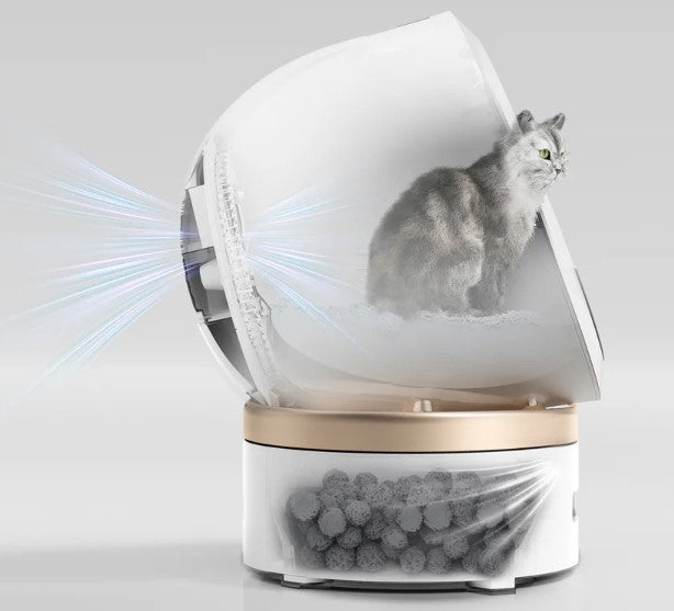 Kuweta samoczyszcząca – porady i recenzje