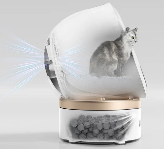 Kuweta samoczyszcząca – porady i recenzje