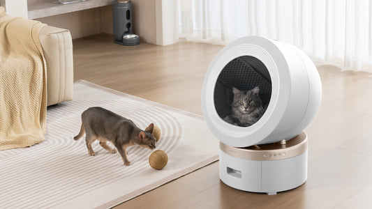 Futrzasta Gwiazdka – świąteczne prezenty, które realnie pomagają