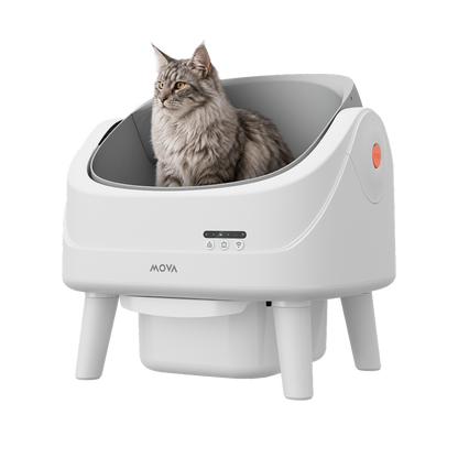 Inteligentna kuweta dla kotów MOVA MeowgicPod LB10 Air