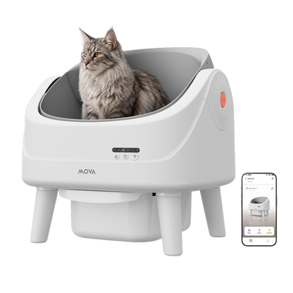Inteligentna kuweta dla kotów MOVA MeowgicPod LB10 Air