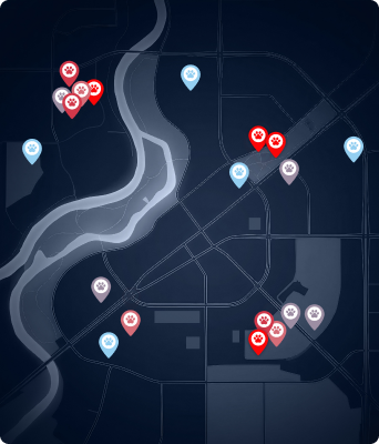 Twórz mapę ich codziennych, pełnych barw przygód